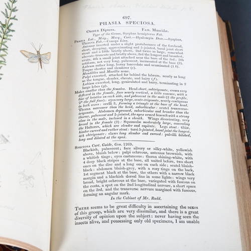 1 - British Entomology Being Illustrations and Descriptions of the Genera
of Insects found in Great Brit... 