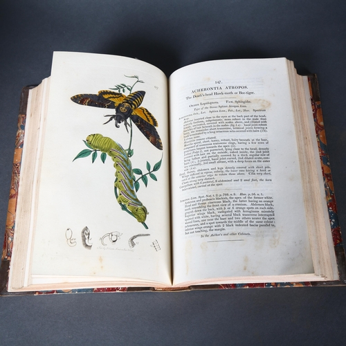 1 - British Entomology Being Illustrations and Descriptions of the Genera
of Insects found in Great Brit... 