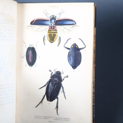 11 - A selection of books on Beetles.
The British Coleoptera Delineated, ed. W.E. Shuckard, drawn in
outl... 