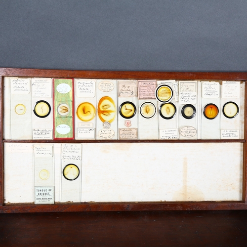 24 - A Victorian microscope slide collectors cabinet, seven drawers, containing a collection of slides re... 