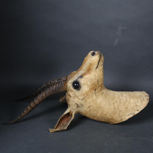 107 - Taxidermy - a Gazelle, head mount, facing forwards, pencil inscription on reverse of mount, 