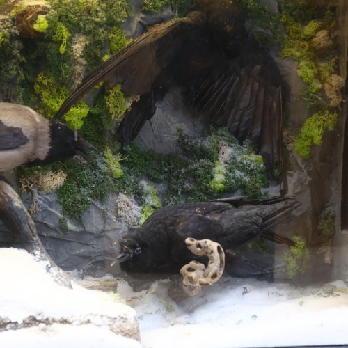 112 - Taxidermy - a large diorama containing a pair of Hooded Crows and a pair Crows, in a Gothic graveyar... 