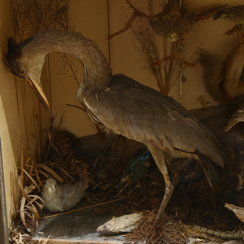 113 - Taxidermy - a large Victorian diorama, depicting a variety of woodland and other British animals and... 