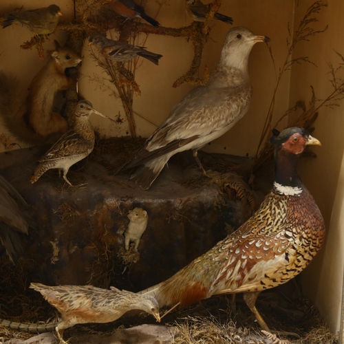 113 - Taxidermy - a large Victorian diorama, depicting a variety of woodland and other British animals and... 