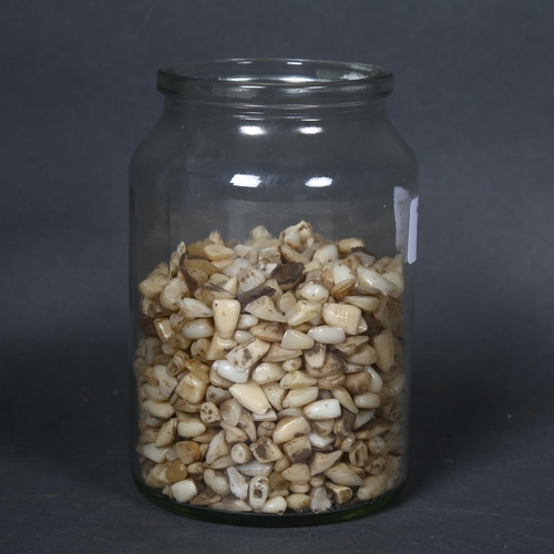 126 - Curiosity / Macabre - A glass jar containing a large selection of porcelain human teeth, used for ma... 