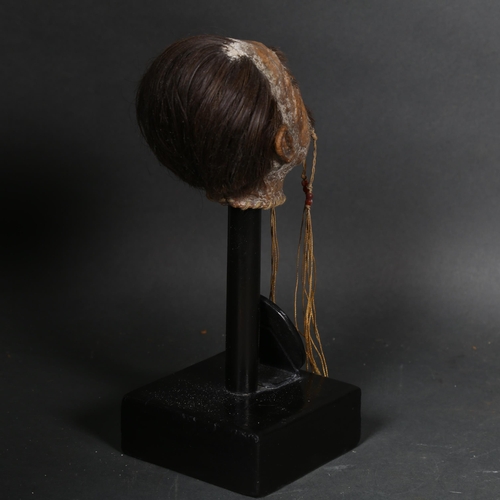 129 - Curiosity / Macabre - A modern Shrunken Head sculpture, label reading 