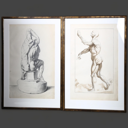 136 - After Andrews Vesuvius - A group of four human musculature prints, plate size 46 x 23cm, overall 58 ... 