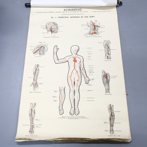 137 - Anatomy And Physiology - A group of six early 20th century illustrations based on Warwick & Tunstall... 