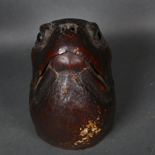 83 - Taxidermy - an Antique Green Turtle (Chelonia mydas) head mount, front facing, with wall hanging fix... 