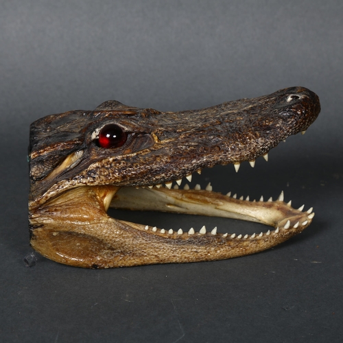 160 - A composite sculpture of an alligator's head, length 15cm.