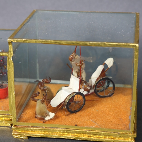 187 - Taxidermy - a group of four miniature diorama, insect lava, housed in glass cases, including a Chris... 