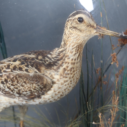 219 - Taxidermy - a Victorian study of a Snipe, in a naturalistic setting housed in a domed glass display,... 