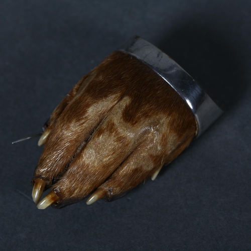 331 - Taxidermy - An Antique Otter paw pin brooch, silver plated mount and pin, inscribed 