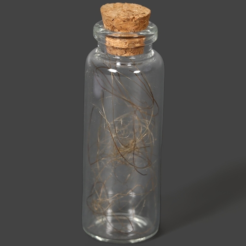 340 - Curiosities - a Jar of Extinct Woolly Mammoth Hair, hair obtained from a Mammuthus primegenus specim... 