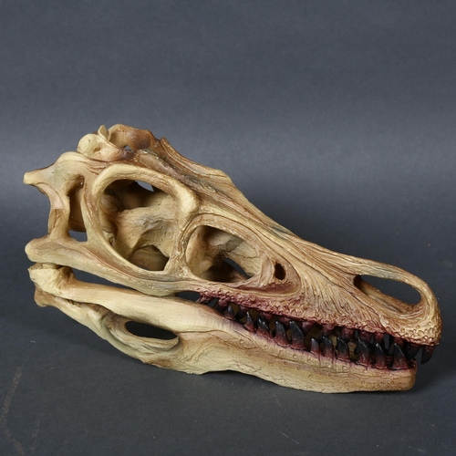 344 - Velociraptor Dinosaur Skull model cast in polyresin, hand painted, the lower jaw removable