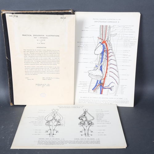 429 - Practical Zoological Illustrations, Part 1 - vertebrates, by S Lockyer and D R Crofts, dated Februar... 