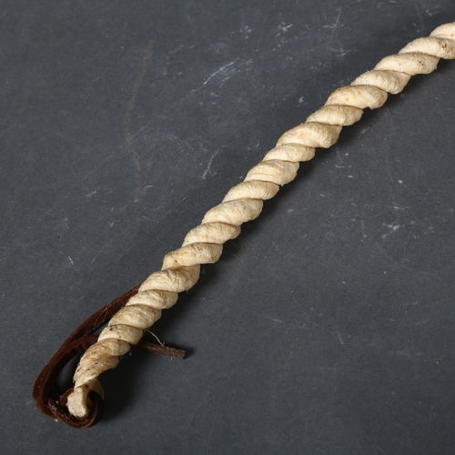 436 - An Antique Bulls Pizzle whip/riding crop, length 77cm.