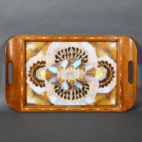 446 - A vintage butterfly wing two handled tray, with marquetry decoration, width 47cm.