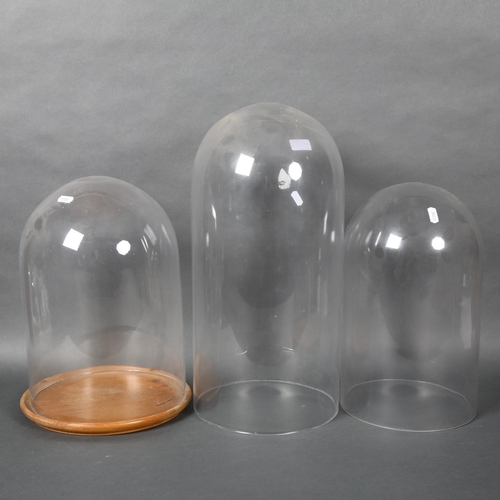 452 - A group of three large vintage and modern glass domes, one with associated wooden stand, largest hei... 