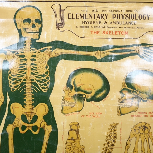 455 - The A.L Educational series. Elementary Physiology Hygiene & Ambulance
By Robert E Holding, Zoologica... 