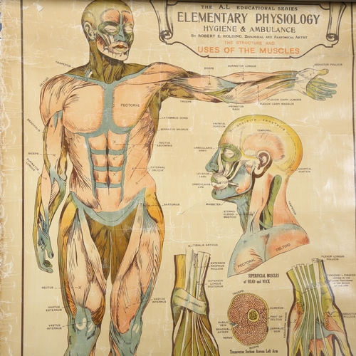 457 - The A.L Educational series. Elementary Physiology Hygiene & Ambulance By Robert E Holding, Zoologica... 