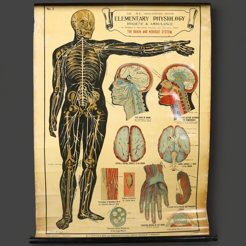 459 - The A.L Educational series.
Elementary Physiology Hygiene & Ambulance
By Robert E Holding, Zoologica... 