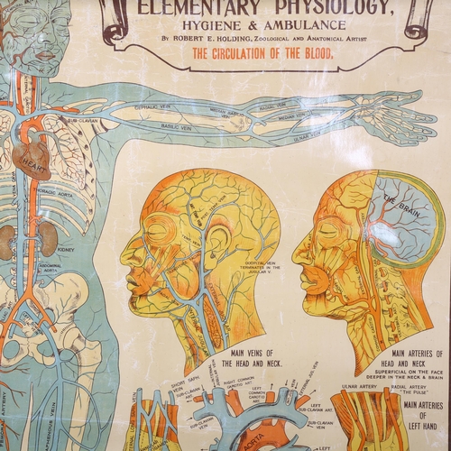 460 - The A.L Educational series.
Elementary Physiology Hygiene & Ambulance
By Robert E Holding, Zoologica... 