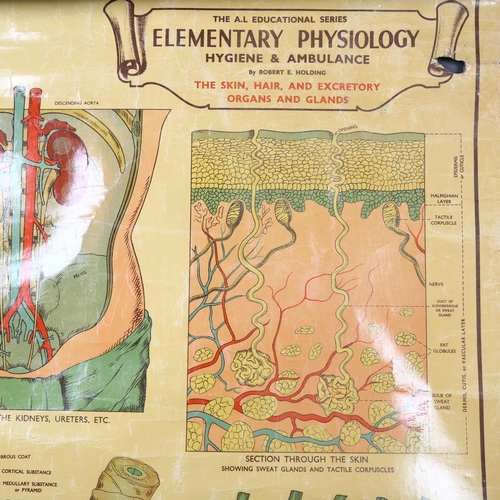 462 - The A.L Educational series.
Elementary Physiology Hygiene & Ambulance
By Robert E Holding, Zoologica... 