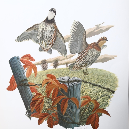 464 - Richard Sloan - 2 portfolio's, comprising prints of birds and natural history. Including a Bobwhite,... 