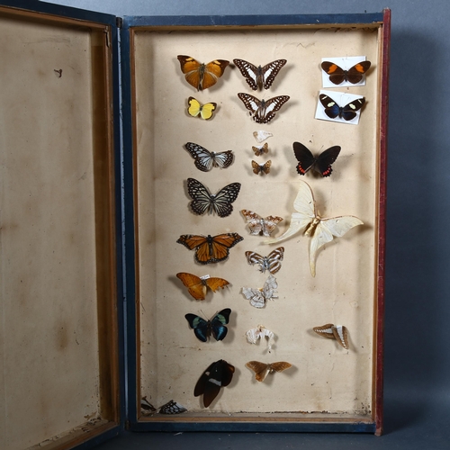 516 - A large faux book design box, containing a selection of various butterfly species.