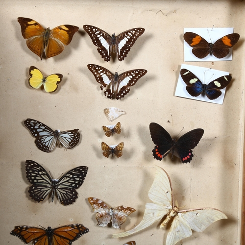 516 - A large faux book design box, containing a selection of various butterfly species.