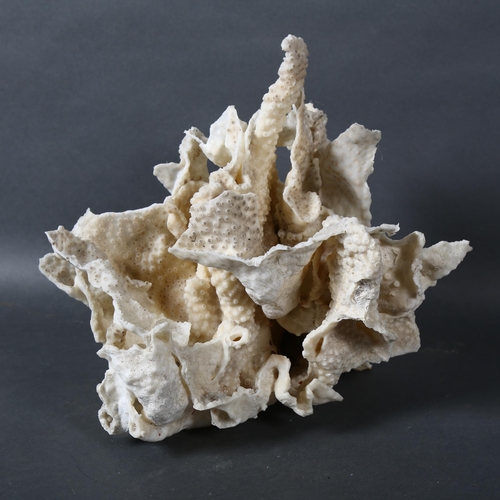 517 - A large coral specimen, height 17cm.