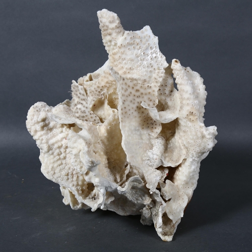 517 - A large coral specimen, height 17cm.