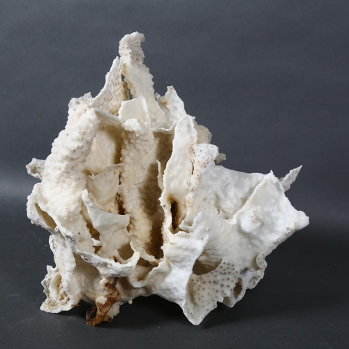 517 - A large coral specimen, height 17cm.