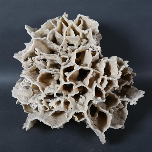 518 - A large coral specimen, height 16cm.