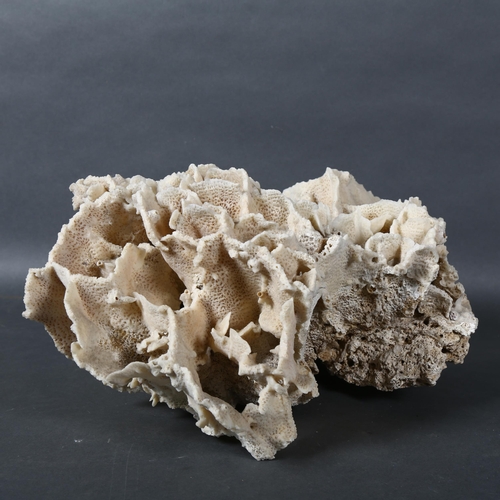 518 - A large coral specimen, height 16cm.