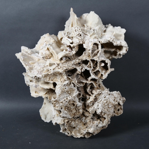 518 - A large coral specimen, height 16cm.