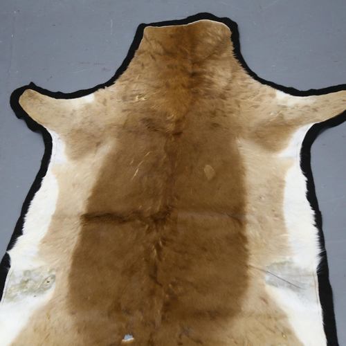 369 - Taxidermy - an Impala Antelope Skin Hide. A medium skin hide rug / throw tanned and supple. CITES - ... 