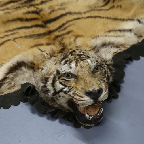 371 - Taxidermy - an antique Tiger skin rug, with open mouth, snarling pose, glass eyes, majority of claws... 