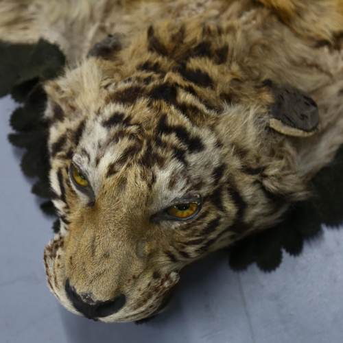 371 - Taxidermy - an antique Tiger skin rug, with open mouth, snarling pose, glass eyes, majority of claws... 