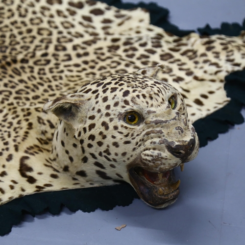 372 - Taxidermy - an antique Indian Leopard skin rug, label to the underside reads 