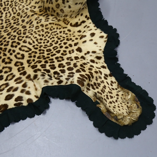 372 - Taxidermy - an antique Indian Leopard skin rug, label to the underside reads 