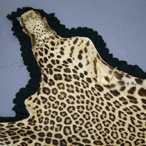 372 - Taxidermy - an antique Indian Leopard skin rug, label to the underside reads 