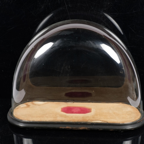 204 - A Victorian glass dome, with associated ebonised wooden base, H36cm, L46cm