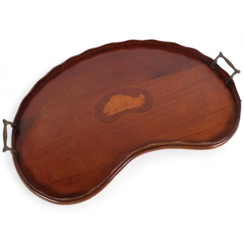 220 - An Antique mahogany kidney-shaped 2-handled tray, with inlaid conch shell decoration, L57cm