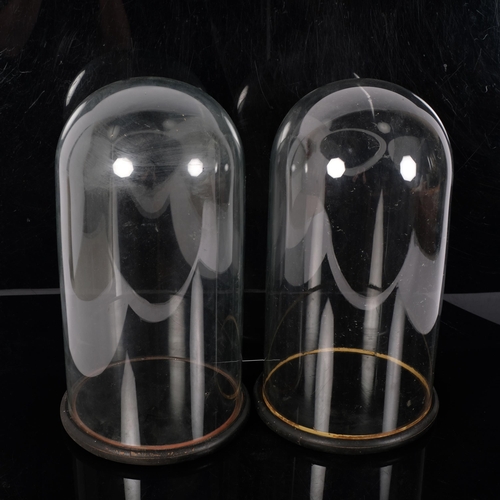 75 - A pair of Antique glass domes on turned ebonised bases, H45cm