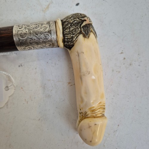 502 - Novelty Erotic Penis Walking Stick Cane, circa 1938. The handle carved from hippo tusk, in the form ... 