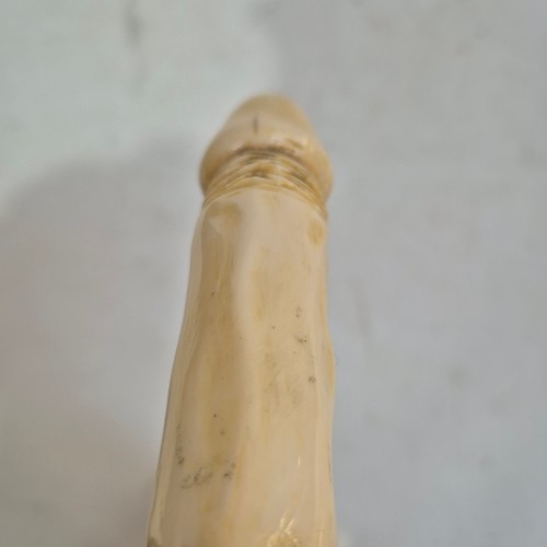 502 - Novelty Erotic Penis Walking Stick Cane, circa 1938. The handle carved from hippo tusk, in the form ... 