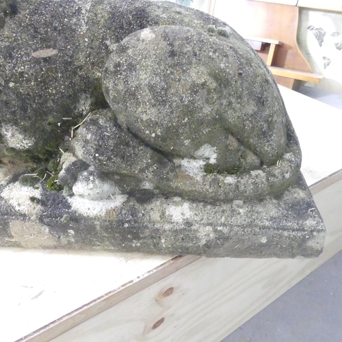 38 - A weathered concrete garden statue, study of a recumbent Lion. 90x56x32cm.