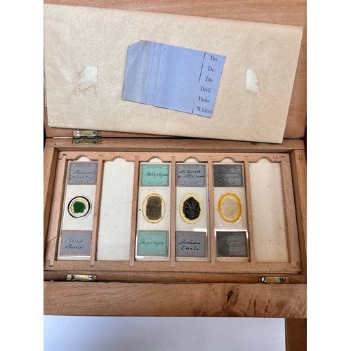 26 - A collection of eight antique softwood microscope slide collectors boxes containing an extensive col... 